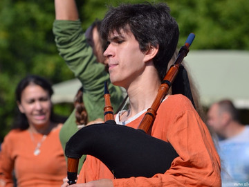 Ладейное поле - 2016