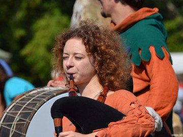 Ладейное поле - 2016