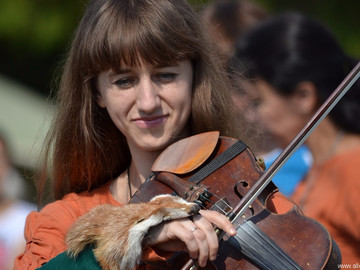 Ладейное поле - 2016