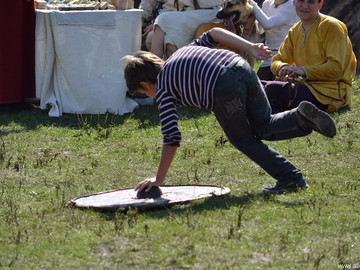 Ладейное поле - 2016