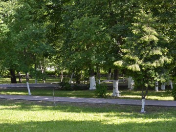 Сквер Комсомольцев Сквер Комсомольцев