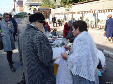 Антоновские яблоки - 2016