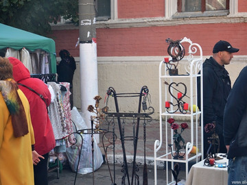 Антоновские яблоки - 2016