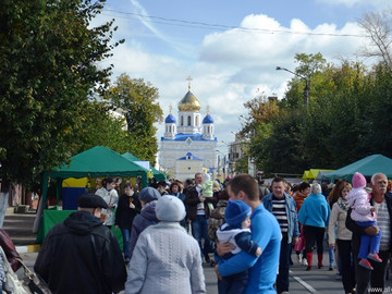 Антоновские яблоки - 2016