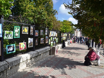 Антоновские яблоки - 2016