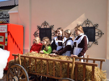 Антоновские яблоки - 2016