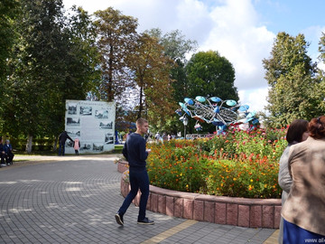 Антоновские яблоки - 2016