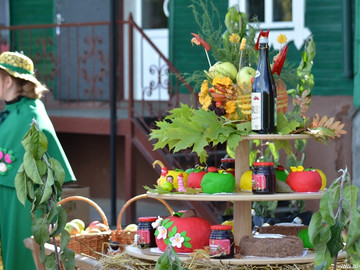 Антоновские яблоки - 2016