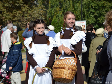 Антоновские яблоки - 2016