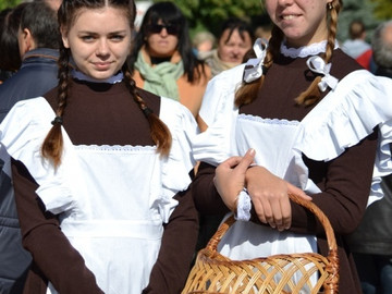 Антоновские яблоки - 2016