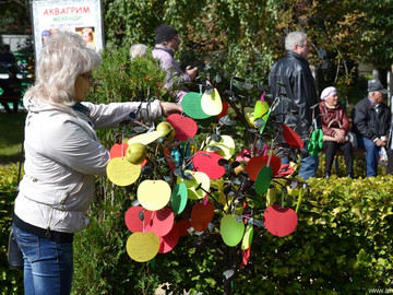 Антоновские яблоки - 2016