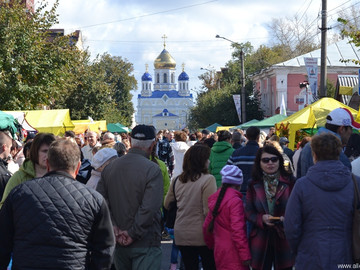Антоновские яблоки - 2016