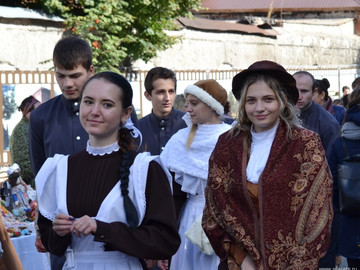 Антоновские яблоки - 2016