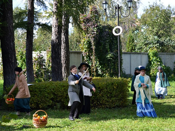 Антоновские яблоки - 2016