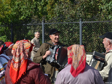 Антоновские яблоки - 2016