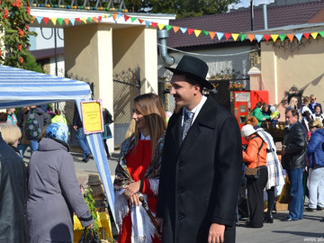 Антоновские яблоки - 2016