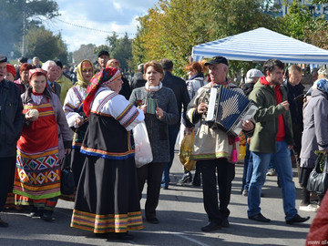 Антоновские яблоки - 2016