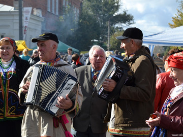 Антоновские яблоки - 2016