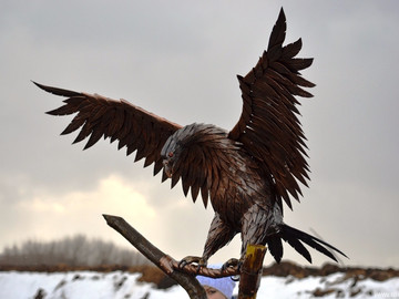 Стрелец - 2016