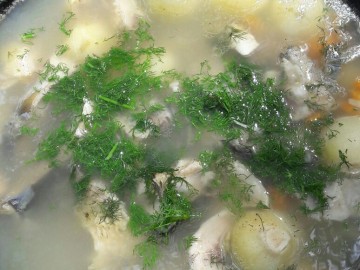 «Майская донка в Рогатово - 2017»