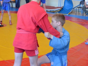 Семинар «Методика подготовки обучающихся самбо»