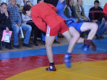 Семинар «Методика подготовки обучающихся самбо»