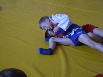 Семинар «Методика подготовки обучающихся самбо»