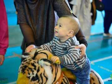 Забег ползунков