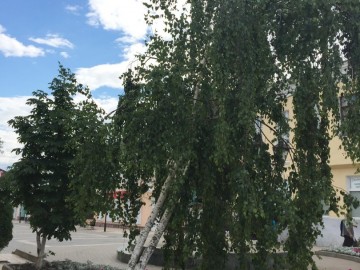 Я люблю свой город Елец!