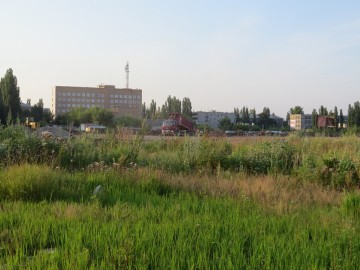 Несанкционированная свалка в Ельце