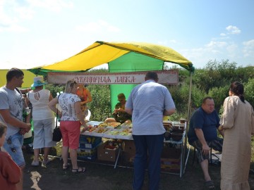 Фестиваль «Ладейное поле - 2017»