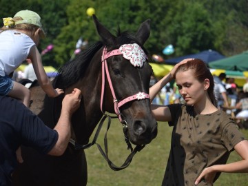 Фестиваль «Ладейное поле - 2017»