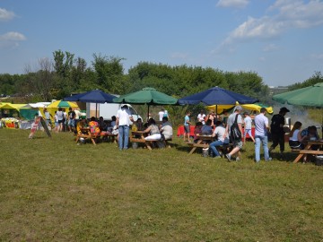 Фестиваль «Ладейное поле - 2017»