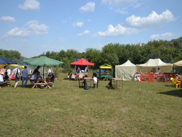 Фестиваль «Ладейное поле - 2017»