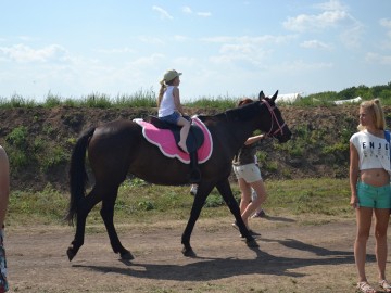 Фестиваль «Ладейное поле - 2017»