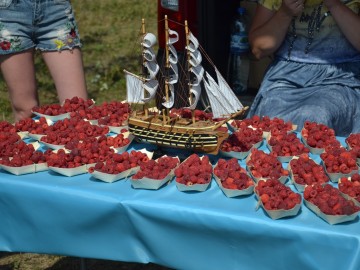 Фестиваль «Ладейное поле - 2017»