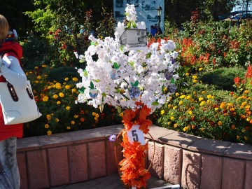 Фестиваль «Антоновские яблоки»