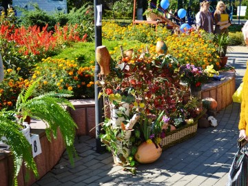 Фестиваль «Антоновские яблоки»