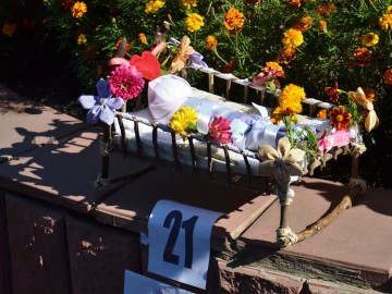 Фестиваль «Антоновские яблоки»