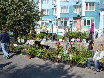 Фестиваль «Антоновские яблоки»