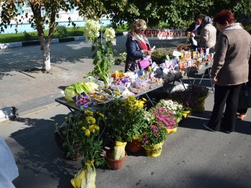 Фестиваль «Антоновские яблоки»