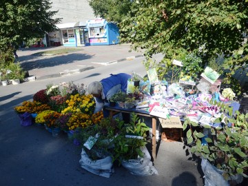 Фестиваль «Антоновские яблоки»