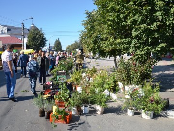 Фестиваль «Антоновские яблоки»
