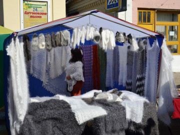 Фестиваль «Антоновские яблоки»