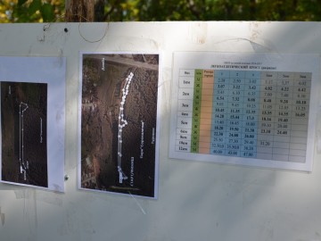 Первенство по кроссу среди школьников