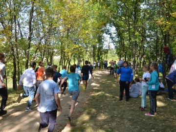 Первенство по кроссу среди школьников