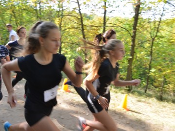 Первенство по кроссу среди школьников