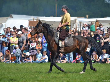 Русборг - 2016