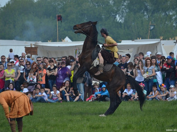 Русборг - 2016