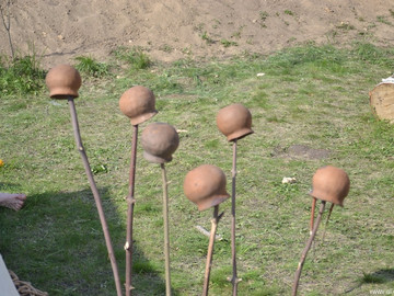 Русборг - 2016